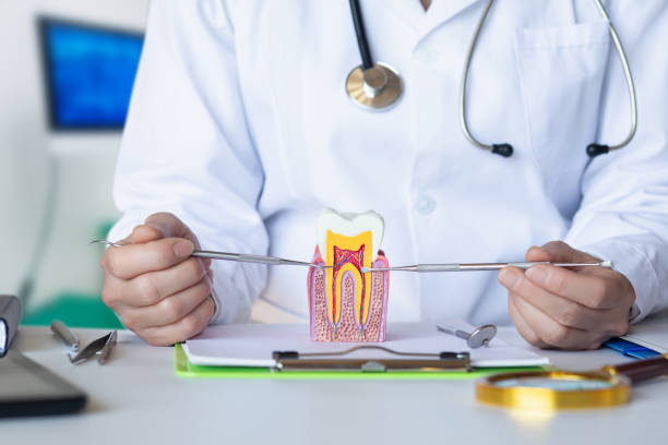 Best Mobile Emergency Dentist in Salem, SD